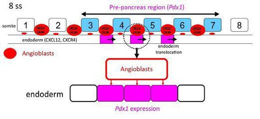 enp33