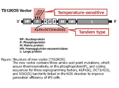 enp64_1