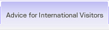 Advice for International Visitors