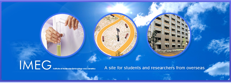 A site for students and researchers from overseas.