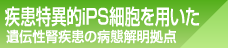 疾患特異的iPS細胞を用いた遺伝性腎疾患の病態解明拠点