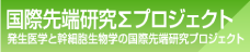 国際先端研究Σプロジェクト