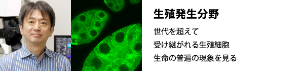 ��ֳ�k����Ұ