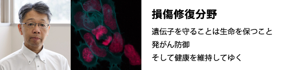�p���ޏͷ�Ұ