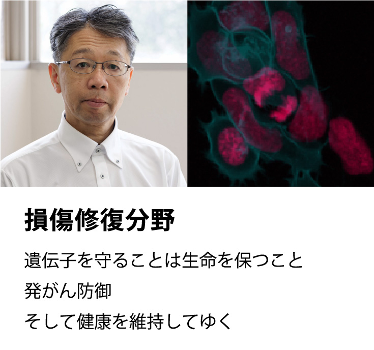 �p���ޏͷ�Ұ
