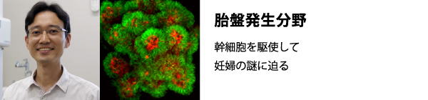 ̥�P�k����Ұ