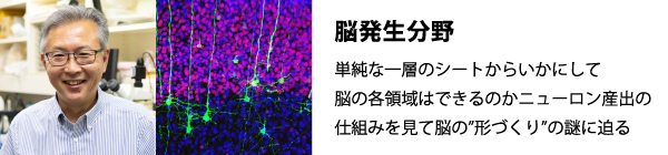 ×�k����Ұ
