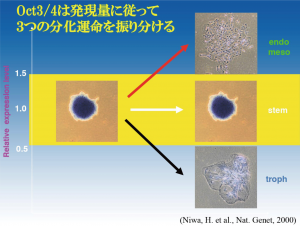 名称未設定-1